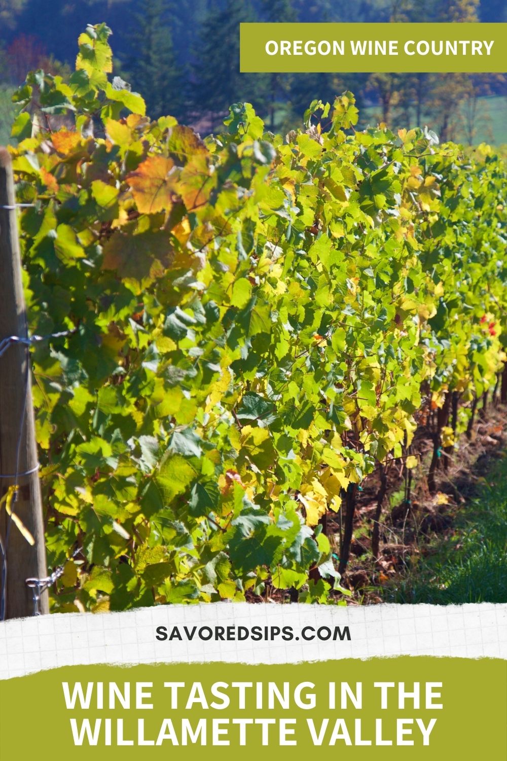 willamette valley wineries