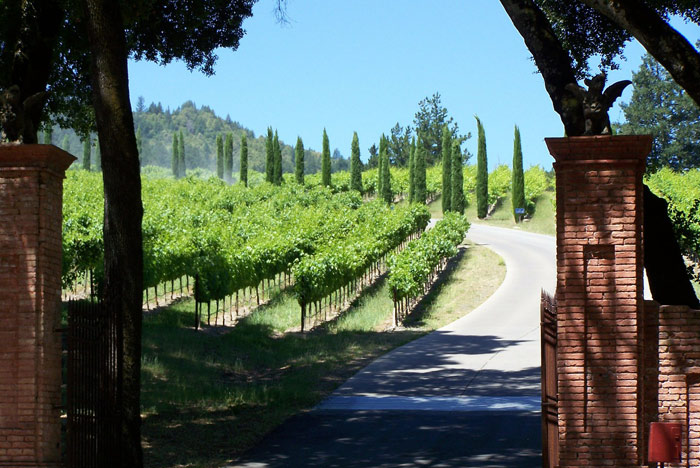 Napa Valley wine region