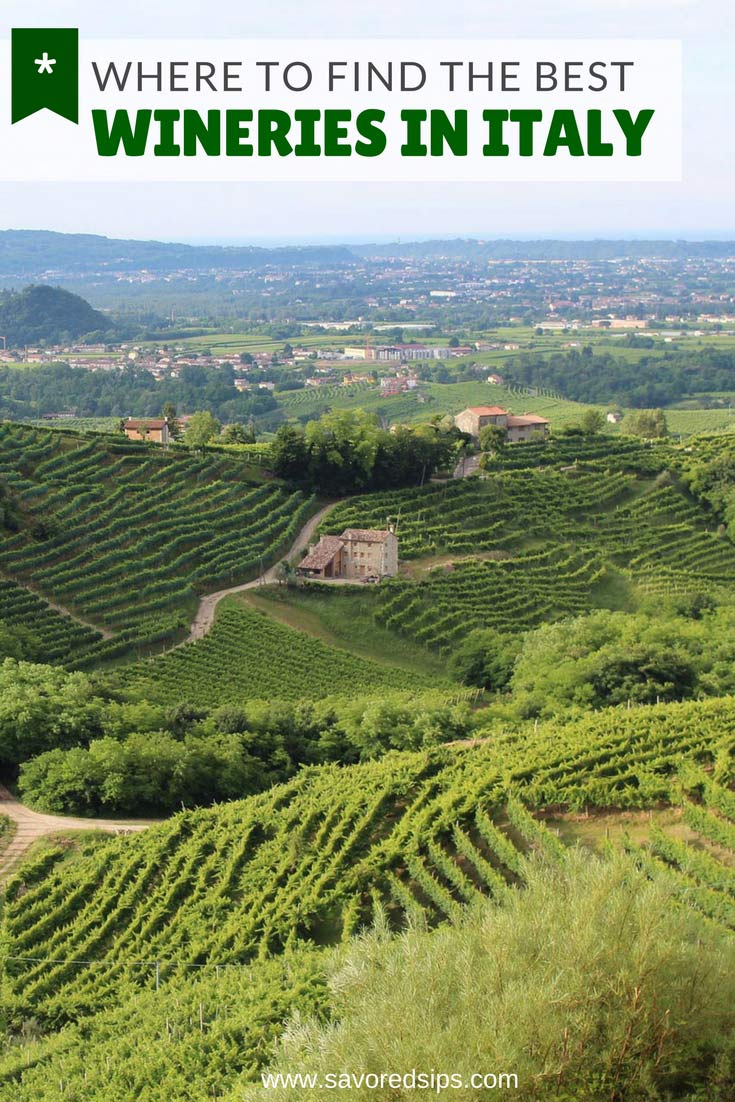 Where to Find the Best Wineries in Italy Savored Sips