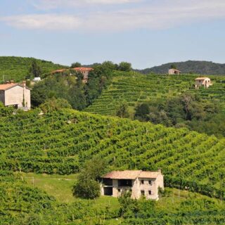 Where to find the best wineries in Italy