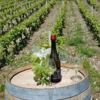 Philippe Grisard Winery