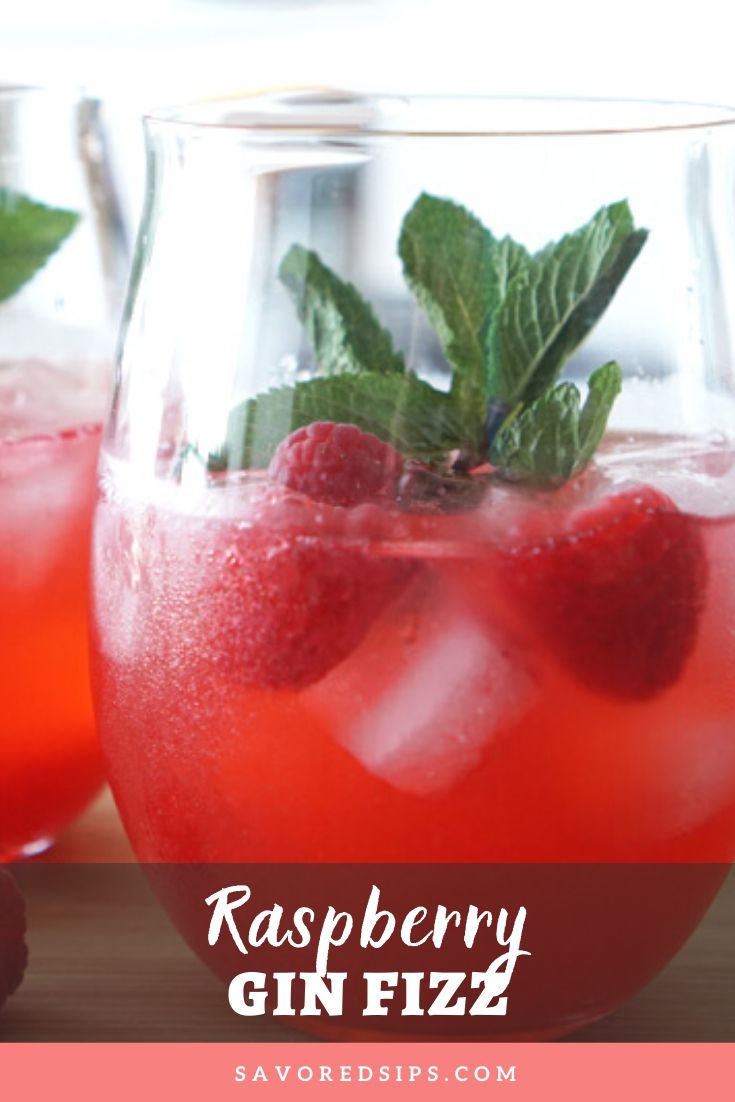 Raspberry Gin Fizz Savored Sips