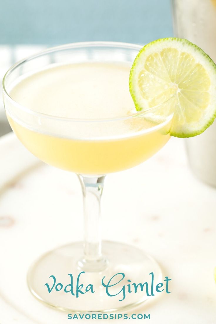 Vodka Gimlet Recipe Savored Sips
