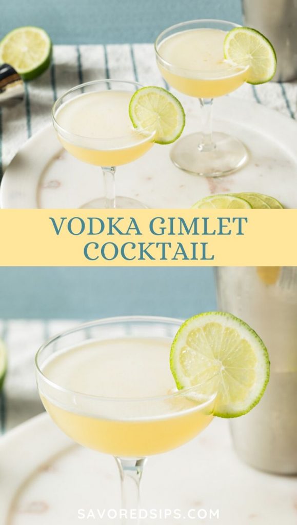 Vodka Gimlet Recipe Savored Sips