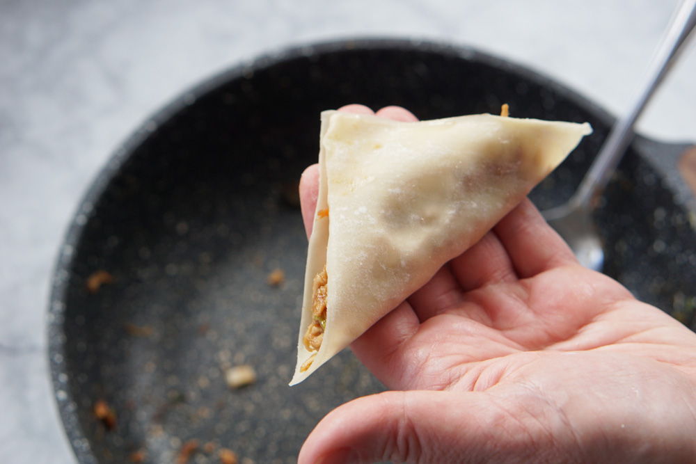A filled wonton