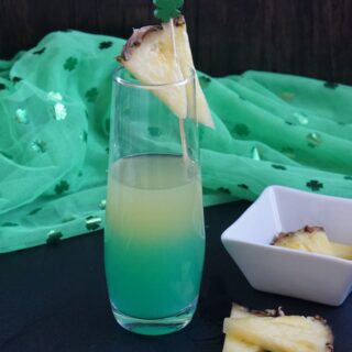 Pot of gold mimosa
