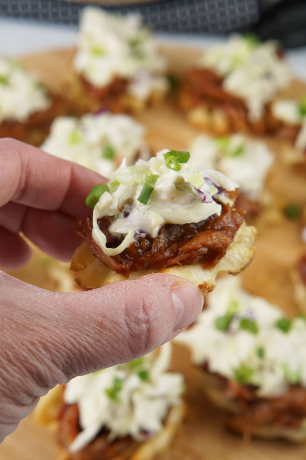 Pulled pork waffle fries